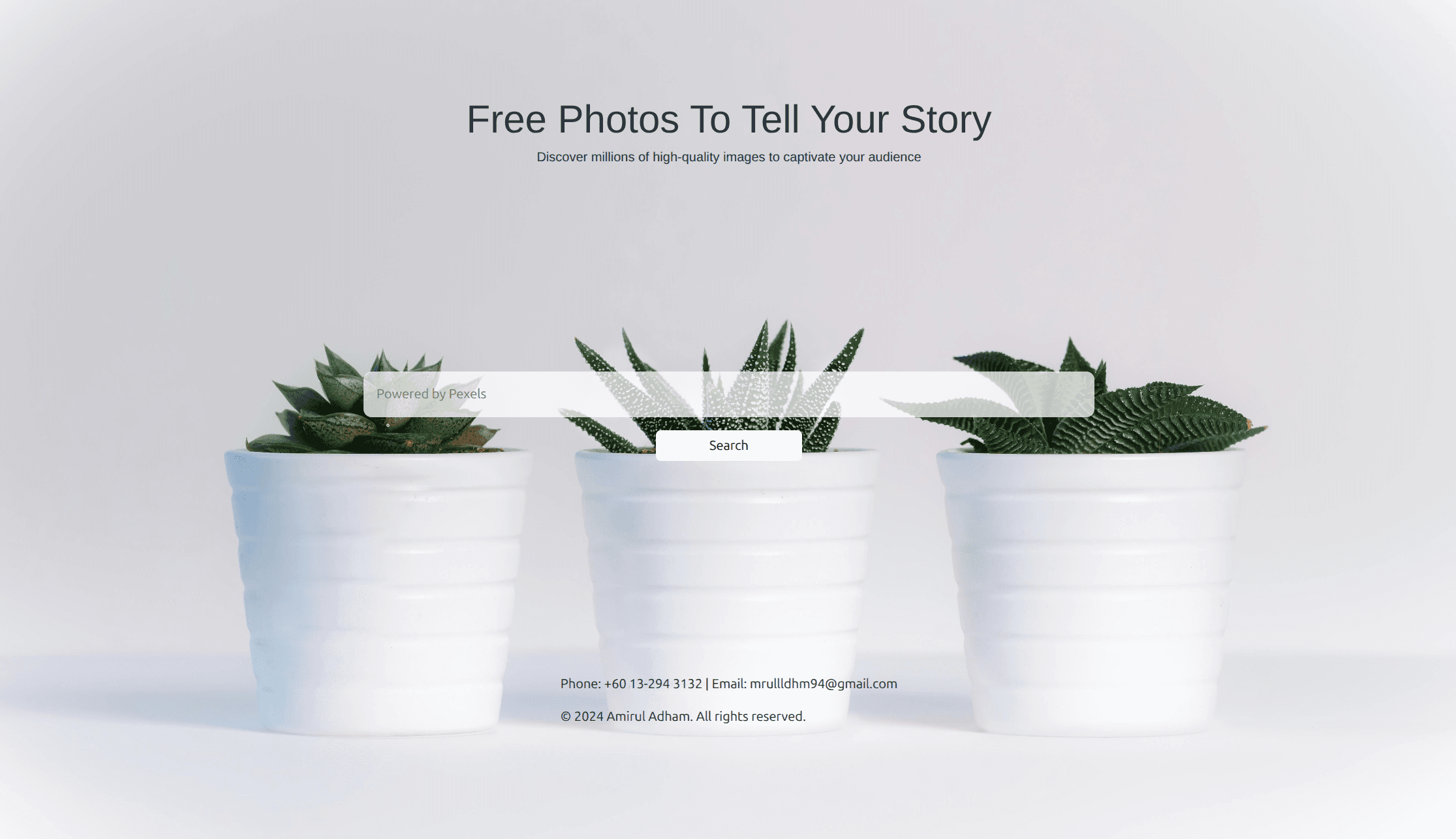 Image Search App – Powered by Pexels